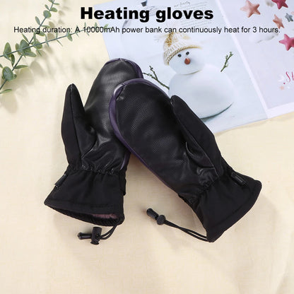 Electric Heating Gloves 3 Gears Temperature Motorcycle Gloves Climbing Skiing Mittens Cold-Proof USB Heated Gloves Hand Warmer
