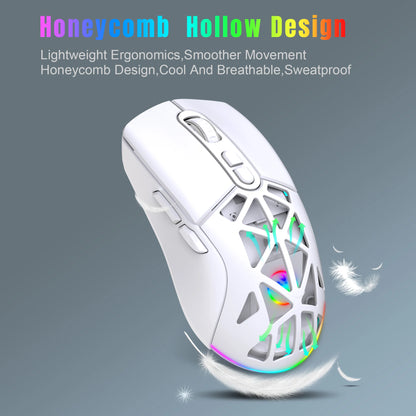 Wireless Gaming Mouse for Laptop, Ergonomic BT Mouse with Tri-Mode USB C Rechargeable Silent Mice for PC Computer Desktop