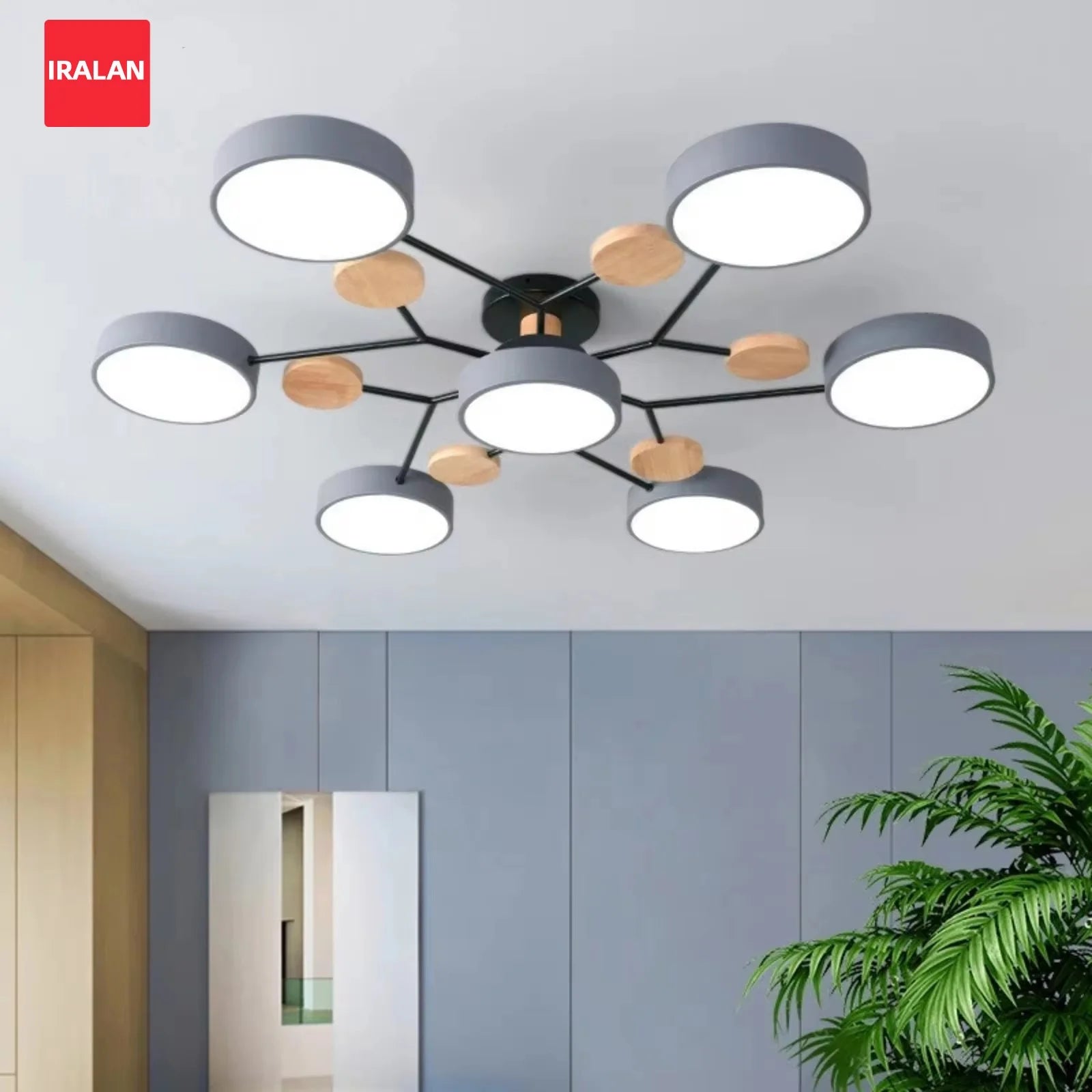 Modern LED Chandelier for Living Room Bedroom Hotel 3 Different Colors Ceiling Lamp Nordic Home Lighting Ceiling Pendant Lamp